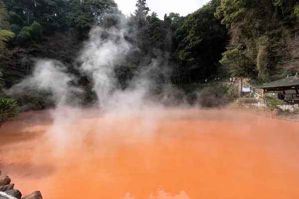 真っ赤な熱泥をたたえる血の池地獄